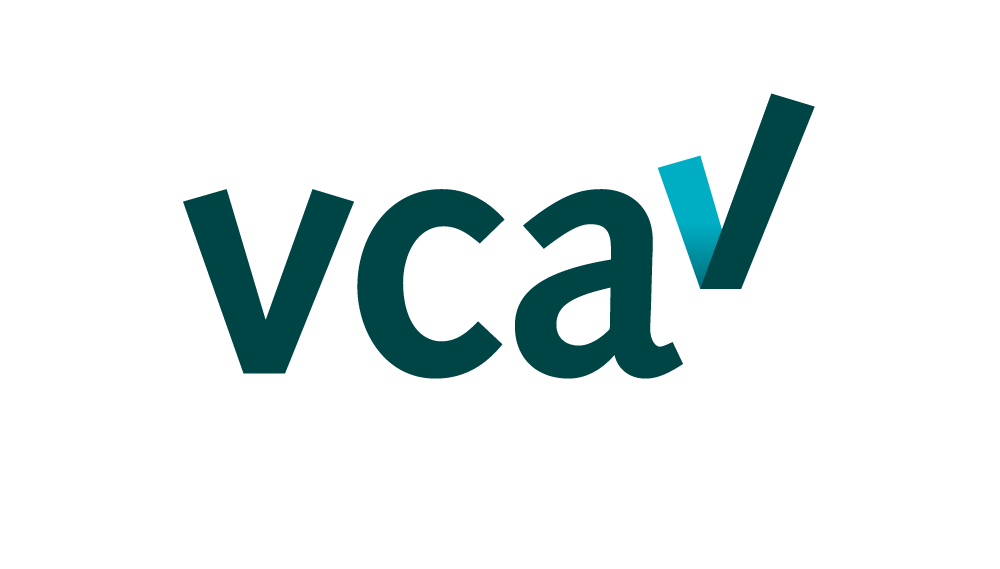 Thumbnail of VCA safety certificate (PDF)